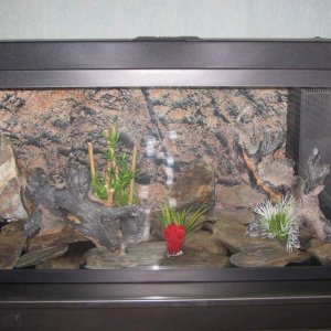 aquarium