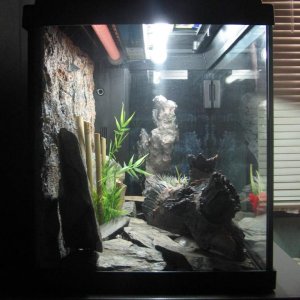 aquarium2