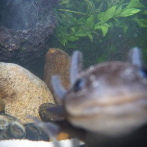 HI!