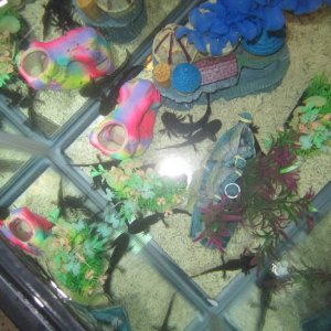 Axol and Otto's children