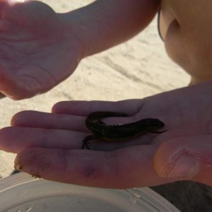 summer 2011 001
