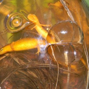 summer 2011 020