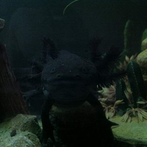 photo (1)