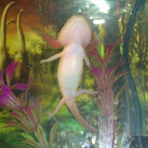 DSC 0098