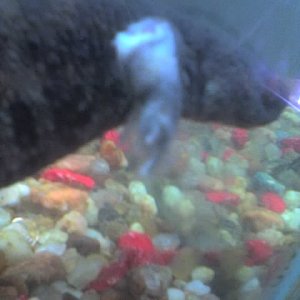You can see a sort of "ghostly glove" there