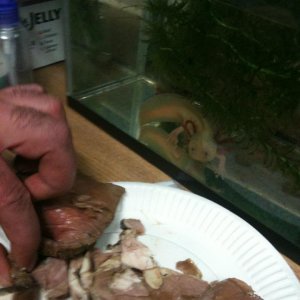I want what he's having!