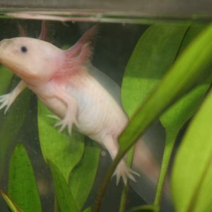 How fast they grew!