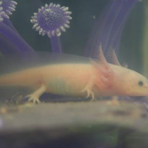 Hard to remember them ever being this tiny!