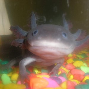 My favourite picture of Sebastiene!