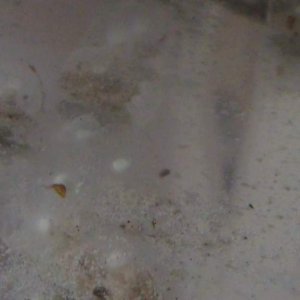 DSC00030