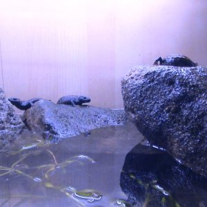 DSC00048