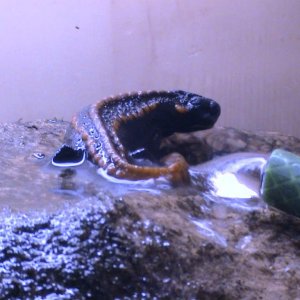 DSC00049
