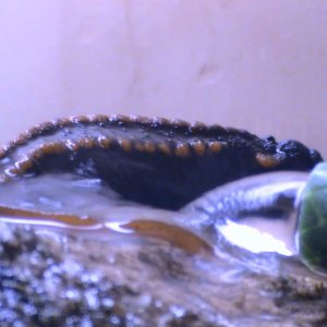 DSC00050