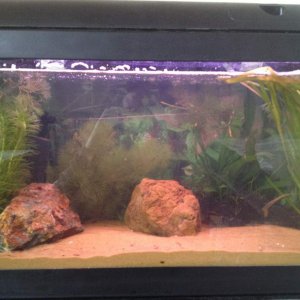 his tank :)