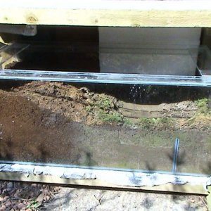 Ambystoma opacum tank.  50% coconut fibre, 50% clay dug up from my garden.