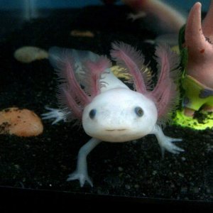 Apollo and Patrick. Yey so happy :D