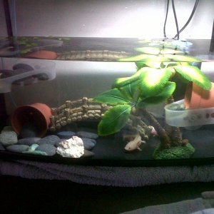 IMG00956 20120504 1550