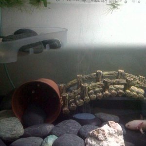 IMG00957 20120504 1551