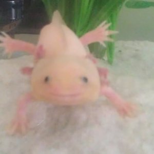Eric, doing yoga