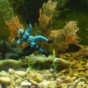 diver