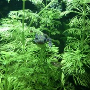 hide n seek!
