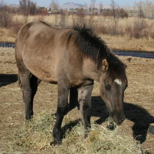 Griz as a baby