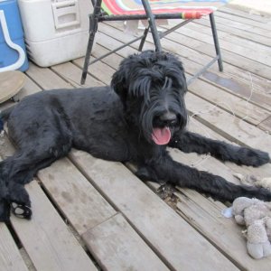 Trucker with a summer clip.  He's one year old.