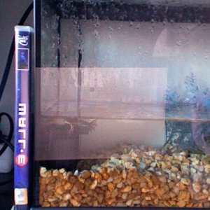 Photo 199