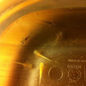 photo (12)