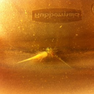 photo (13)
