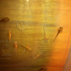 photo (15)