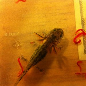 photo (10)