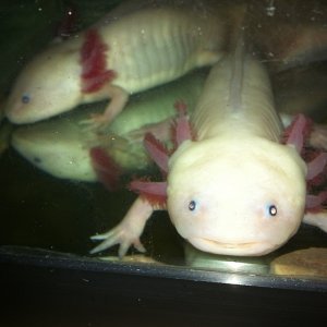 photo (11)