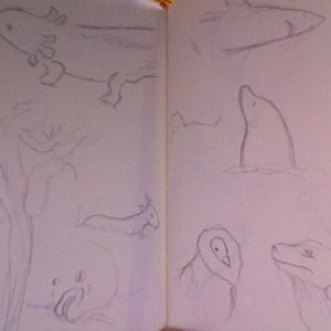 Photo 200