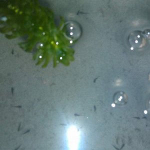IMAG0252