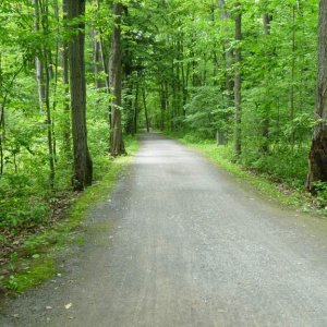 Path