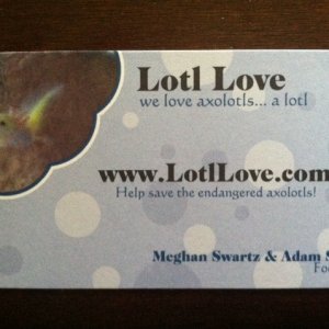 Please join us in spreading the word to save the endangered Axolotls!