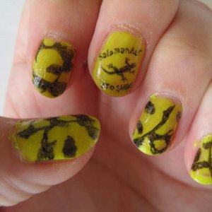 The left hand
