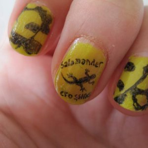 Salamander crossing
