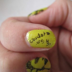 caudata.org