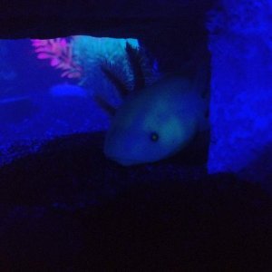 IMG 0328