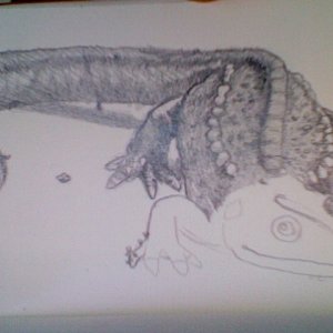 In progress..