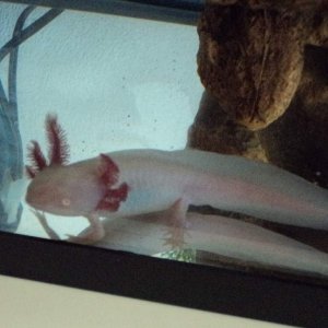 DSC00741