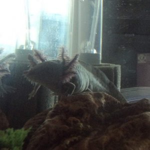 DSC00740