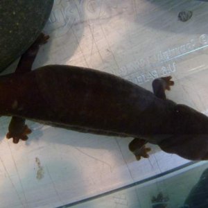 P1030334
