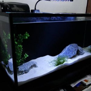 Tank