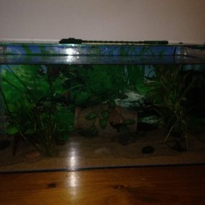 My first setup 55L