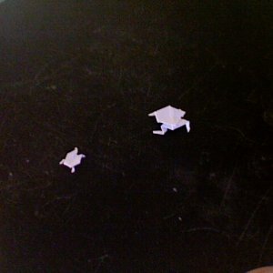 Two origami frogs together, just tests, i'll make more from better paper
