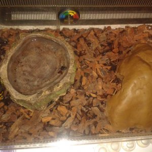 2012 08 05 00.16.23