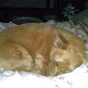 Here is my non swimming baby, Jezy